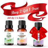 Essential Oil Set - Choose Any 3